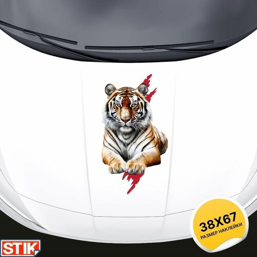 Наклейка на кузов, капот и двери авто 