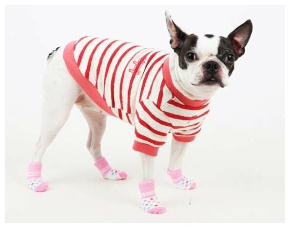Puppia ВИА Носочки для собак в горошек, розовый, размер M (9 см х 3 см) (POLKA DOT II/PINK/M) PAOC-SO1269-PK-M, 0,05 кг, 13600.роз (1 шт) - фотография № 3