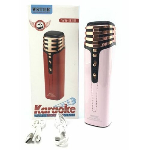 Микрофон+Колонка WSTER WS-838 Mint