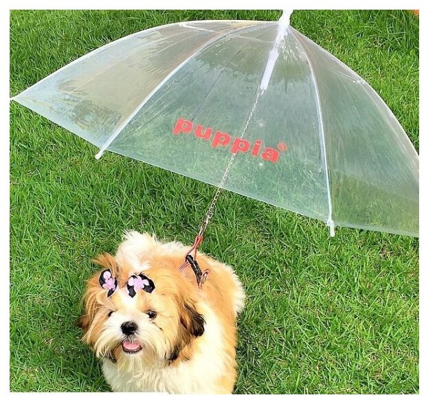 Зонт для собак PUPPIA, прозрачный, 72см (Южная Корея) - фотография № 6