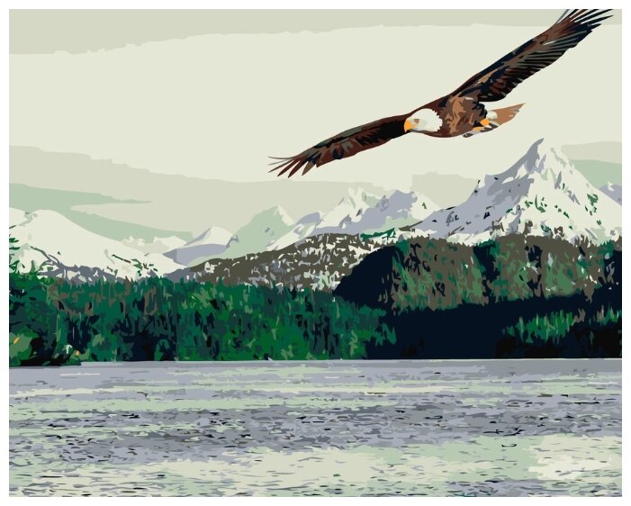 Картина по номерам "Орел на охоте", 40x50 см