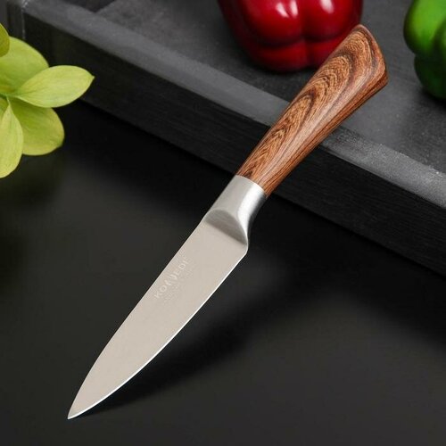 Нож для овощей Доляна Forest, лезвие 9,5 см