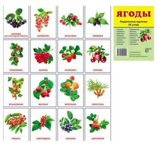 Карточки ягоды картинки для детей с названиями