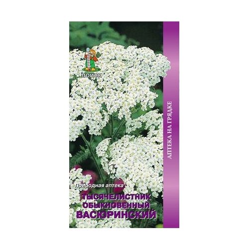 Семена тысячелистника обыкновенного поиск Аптека на грядке Васюринский 0,1 г семена тысячелистника обыкновенного поиск аптека на грядке васюринский 0 1 г