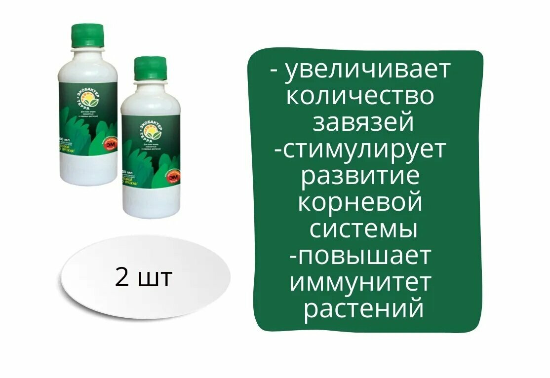 Экобактер терра 0 25л Родемос 2 шт