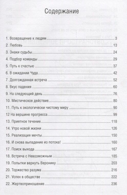 Оживленное пространство (Шторм Елена) - фото №2