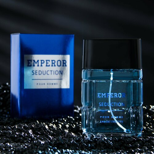 Туалетная вода мужская Emperor Seduction, 100 мл п today parfum emperor т в 100 м seduction a23056004