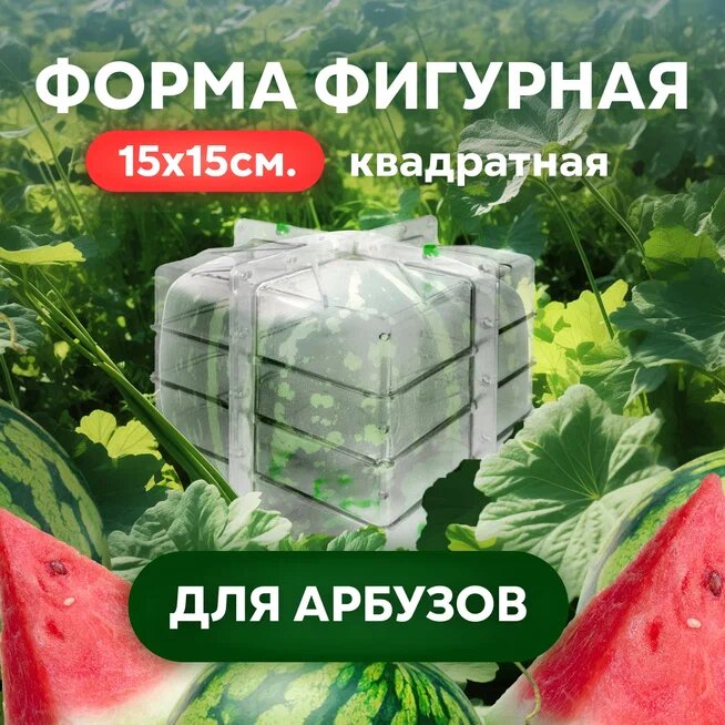 Форма для выращивания фигурных овощей в форме ромба 15х15см