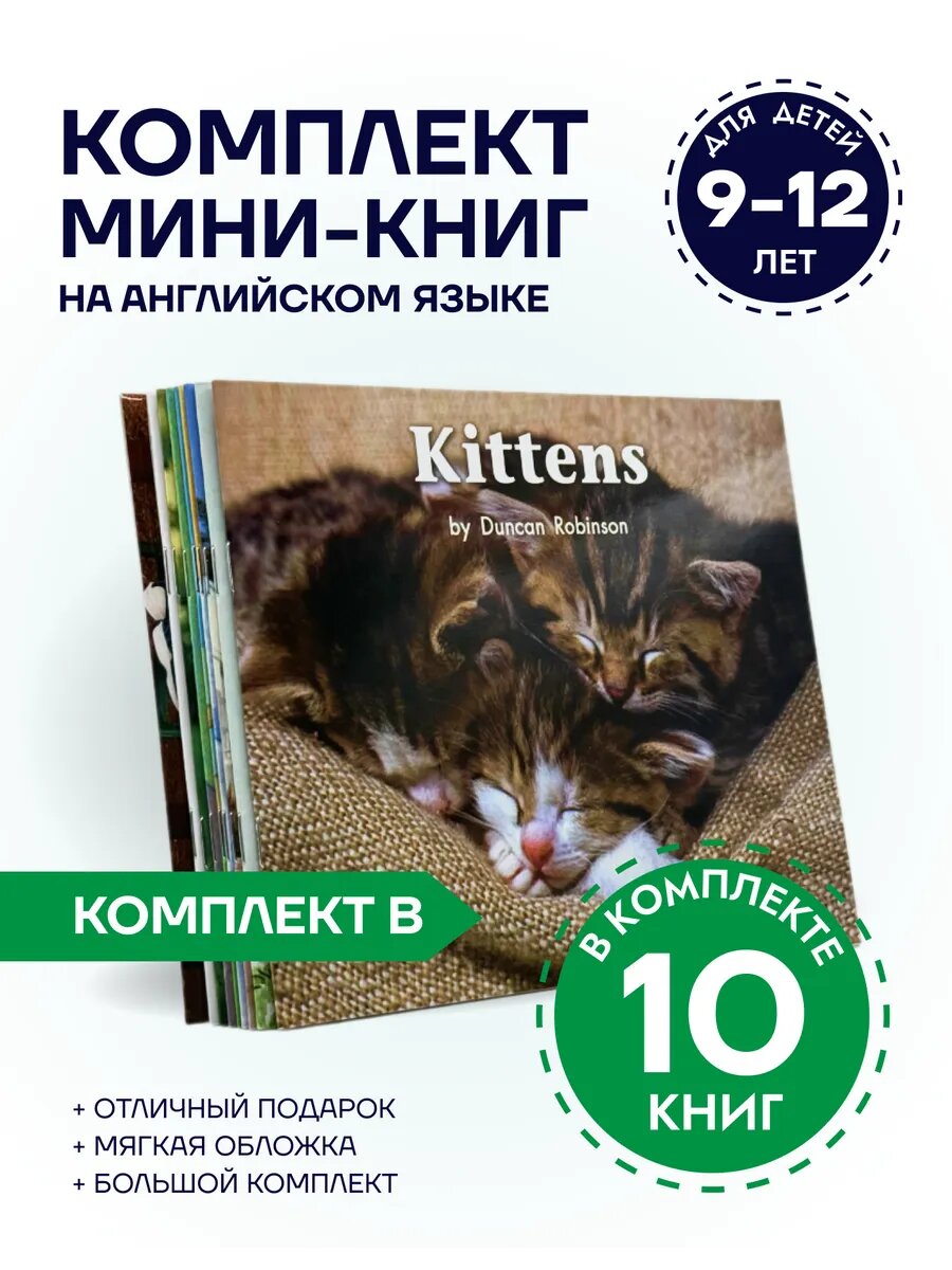 Книги на английском языке для детей 9-12 лет (комплект B)