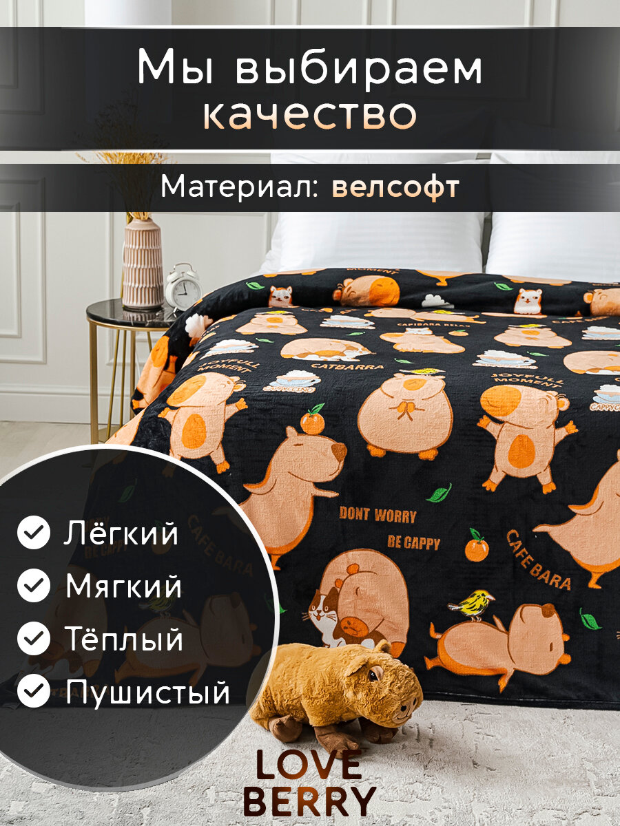 Плед 200х220 LOVEBERRY из велсофта на кровать для спальни, Капибара — фото 1