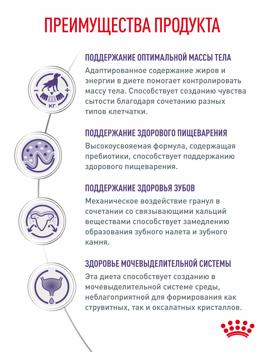 Сухой корм для собак мелких пород Royal Canin Neutered Adult Small Dog для стерилизованных и кастрированных, 3,5 кг — фото 1