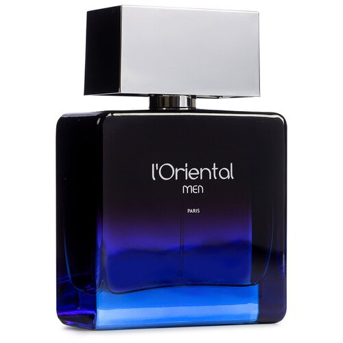 Estelle Ewen туалетная вода L'Oriental Men, 100 мл geparlys caldion туалетная вода night men 100 ml edt