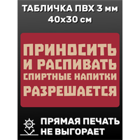 Табличка информационная Спиртные напитки разрешены 40х30 см