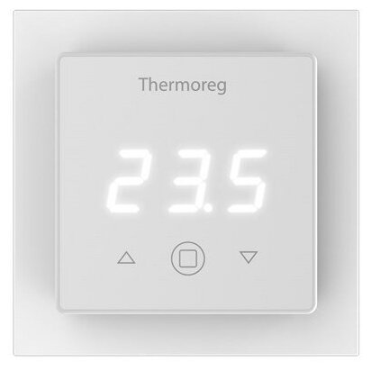 Терморегулятор Thermoreg TI-300