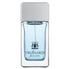 Trussardi Мужская парфюмерия Trussardi Blue Land (Труссарди Блю Ленд) 30 мл - изображение
