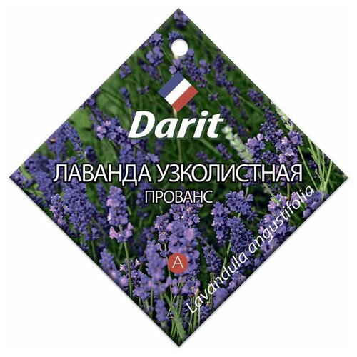 Семена Darit Лаванда узколистная Прованс, 10 шт семена цветов лаванда darit узколистная прованс многолетник 0 1 г