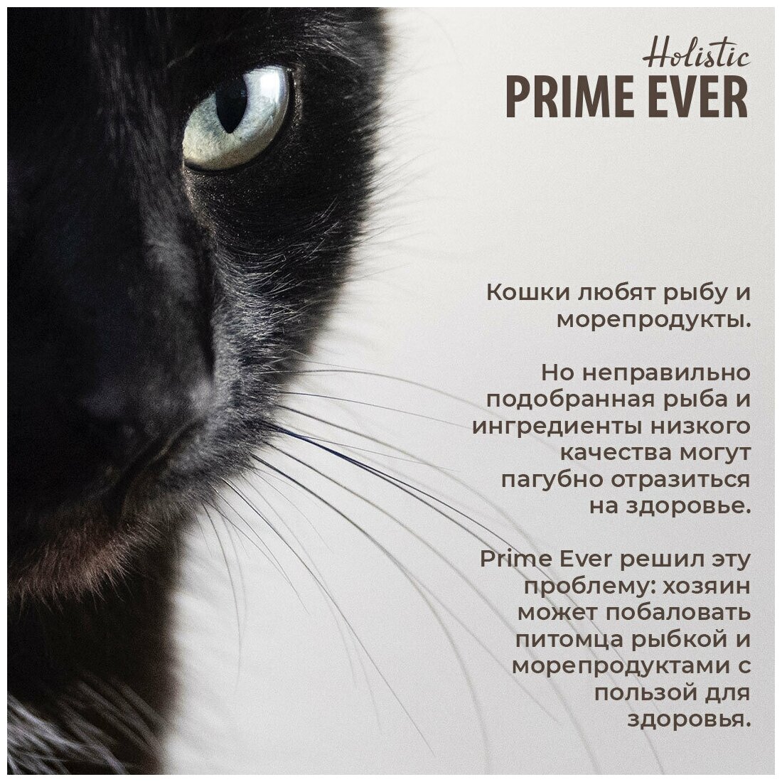 Влажный корм для кошек Prime Ever 5B Тунец с цыпленком в желе 24 шт. х 80 г (кусочки в желе) - фотография № 10