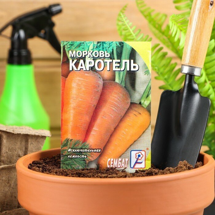 Семена Морковь "Каротель" 1 г