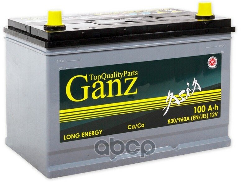 Аккумулятор Ganz Asia 100 А/Ч Обратная R+ 304X173x220 En830 А GANZ арт. GAA1000
