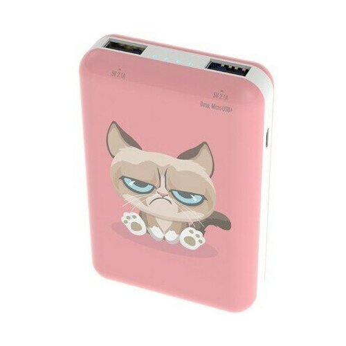 Внешний аккумулятор Ritmix Grumpy Cat RPB-10007 193000₽