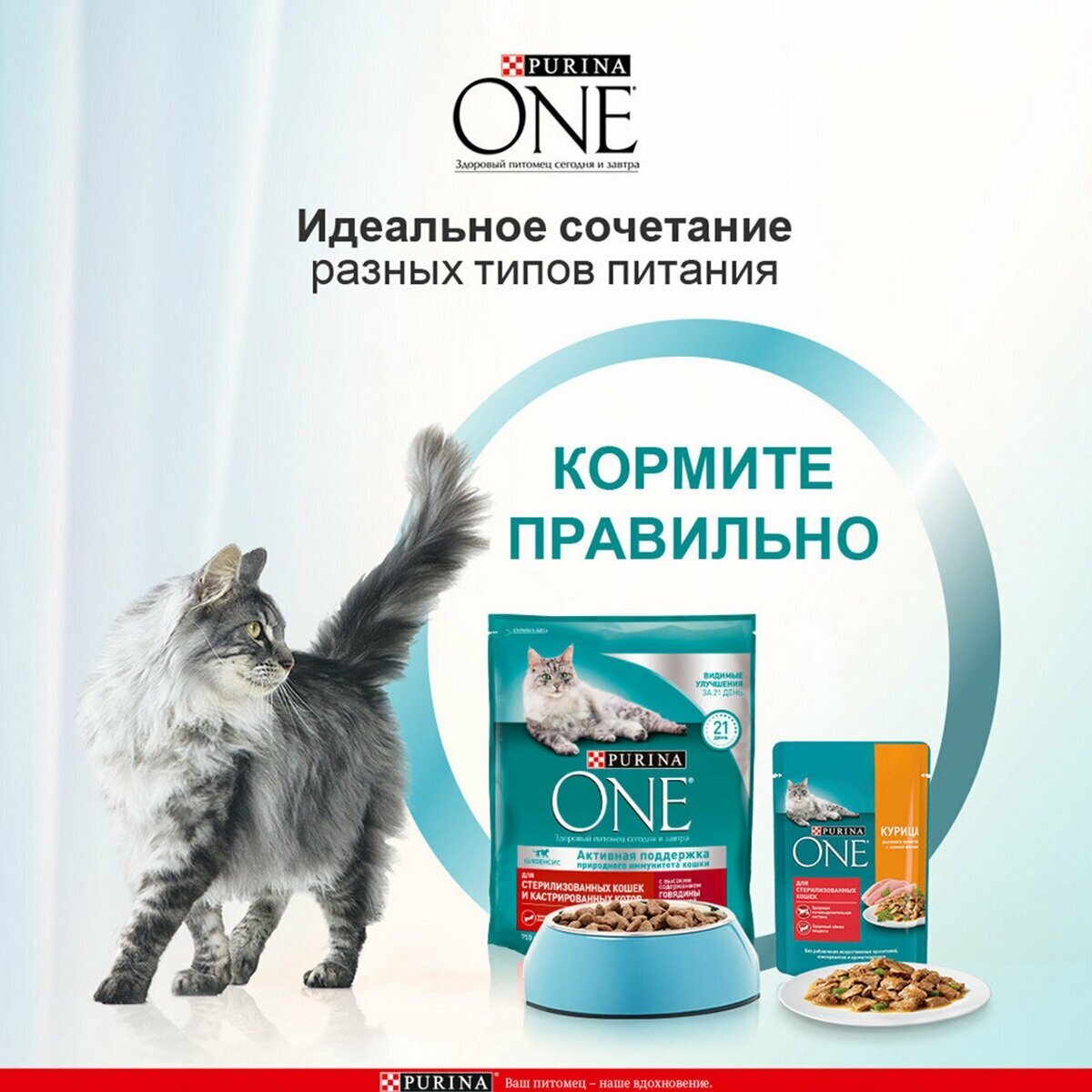 Purina One Сухой корм для стерилизованных кошек с говядиной и пшеницей, 3 кг - фото №17