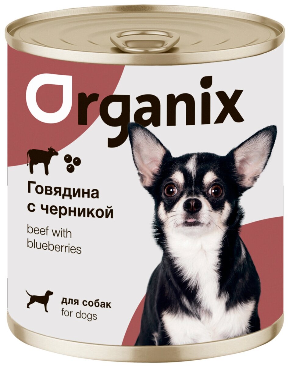 Organix консервы Консервы для собак Заливное из говядины с черникой 22ел16 0,4 кг 42923 (10 шт)