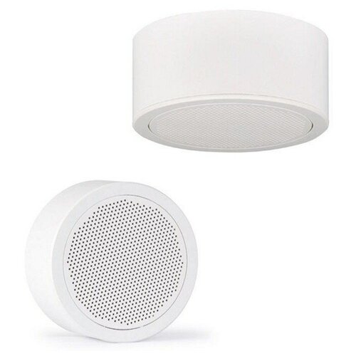 Встраиваемая акустика трансформаторная FONESTAR GAT-96S 1458300₽