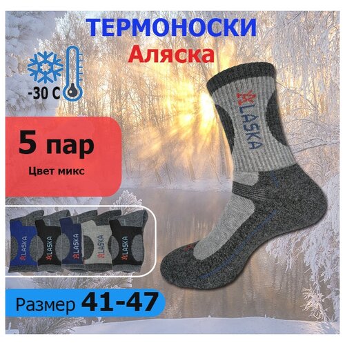 Носки  унисекс Весна-Хороша, 5 пар, утепленные, на 23 февраля, размер 41-47, синий, серый