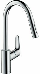 Смеситель для кухни Hansgrohe Focus хром 31815000