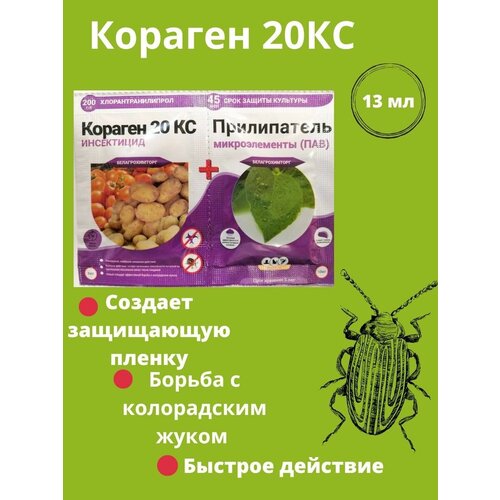 Кораген 20 КС 3МЛ+10МЛ