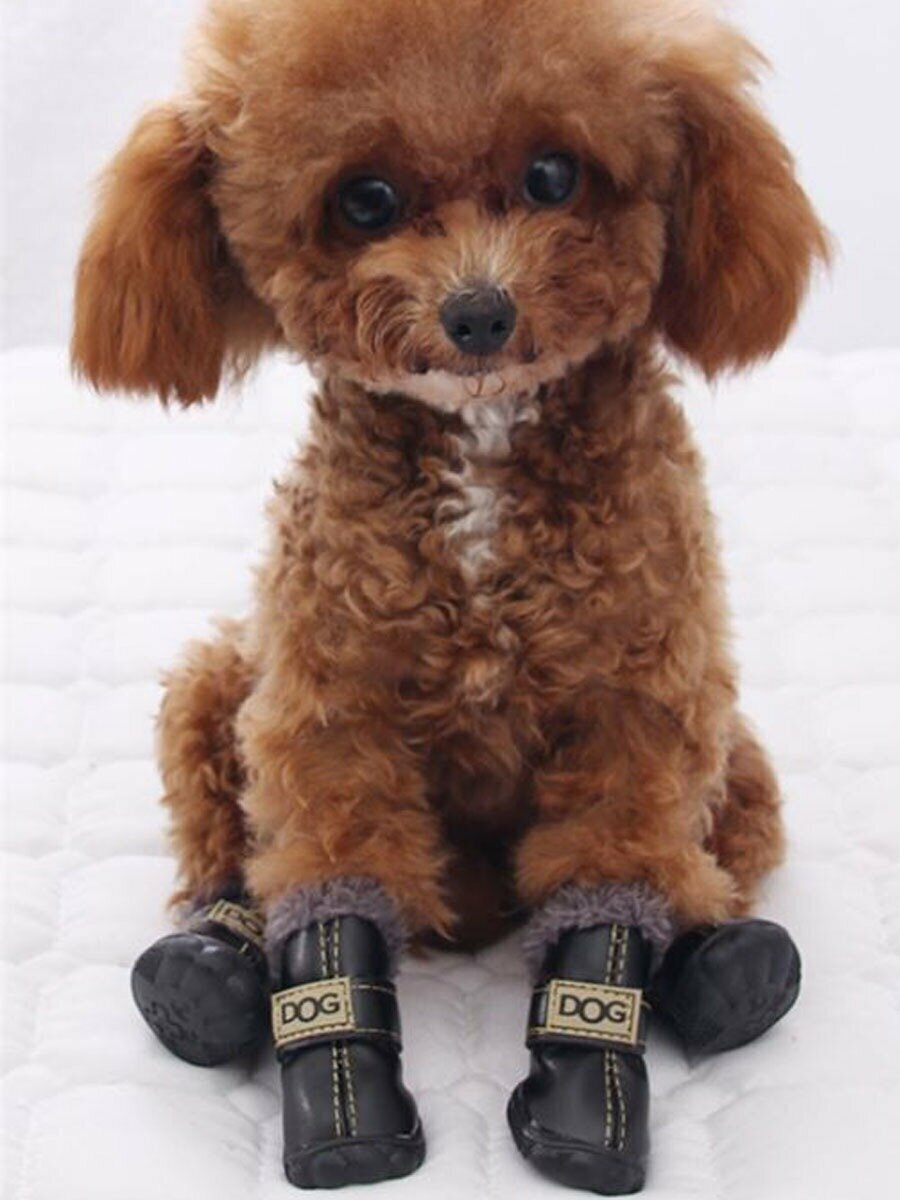 Ботинки для собак мелких пород Arnydog DOG, черный, 4# (5,5 см) - фотография № 2