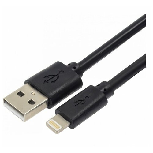 Дата-кабель USB-Lightning, 2 м, черный дата кабель j10 usb lightning 1 м черный