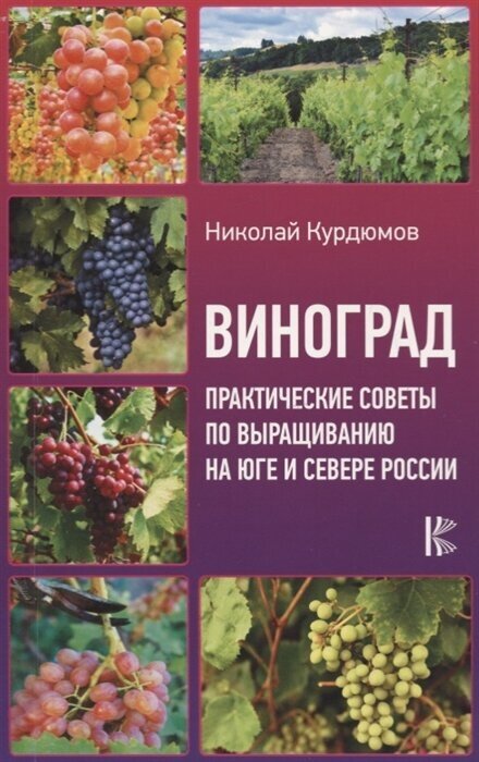 Виноград. Практические советы по выращиванию на юге и севере России