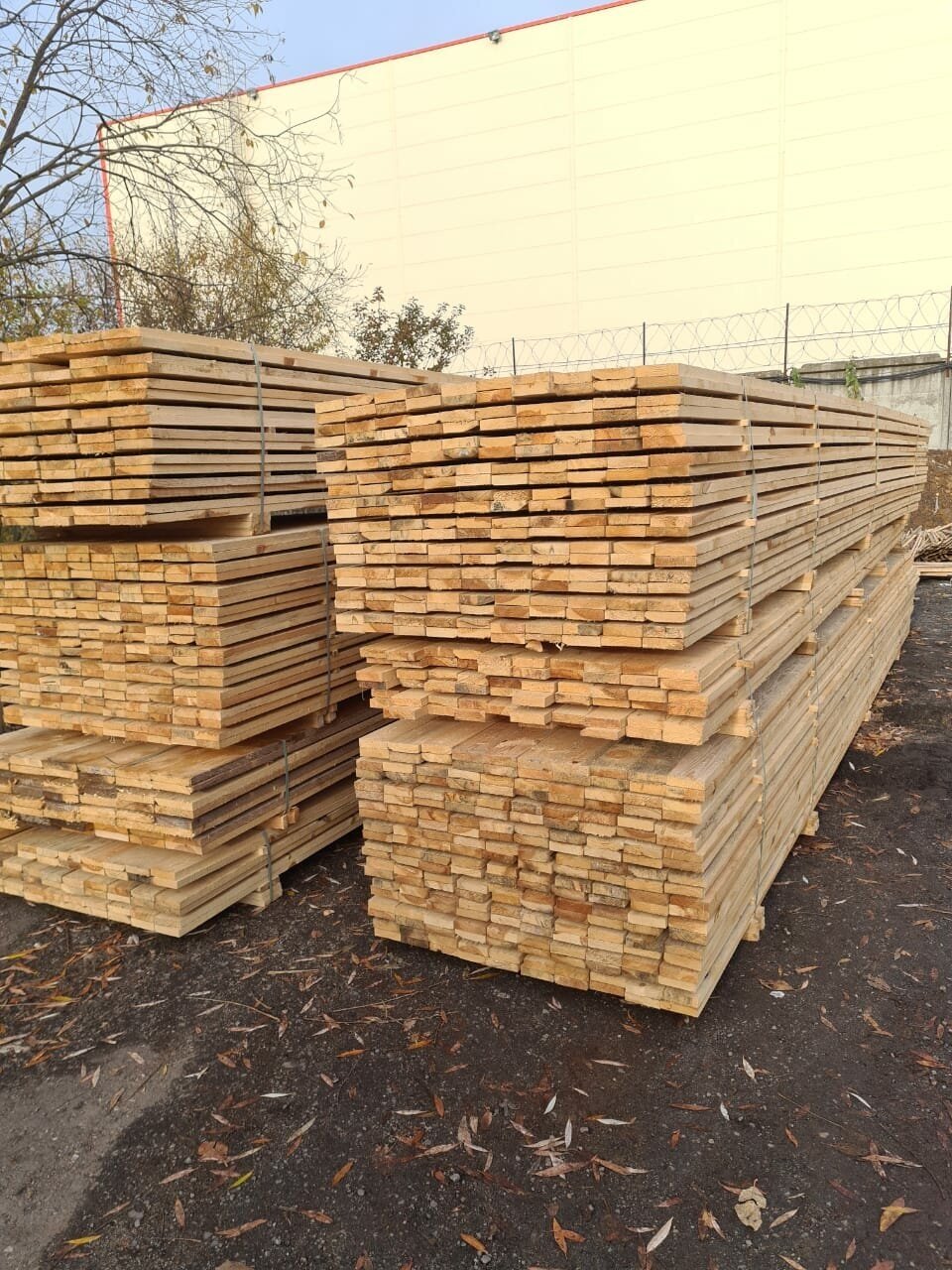 Обрезная доска ГОСТ Arsenal-wood (из сосны) 50х100х6000мм