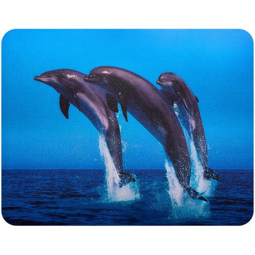 коврик для мыши bu m40083 230x180x2мм рис дельфины Коврик Buro BU-M40083 (817312), рисунок/дельфины, 50 гр