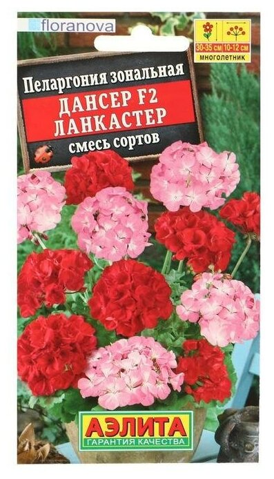 Семена цветов Пеларгония "Дансер Ланкастер", смесь окрасок, F2, 5 шт.