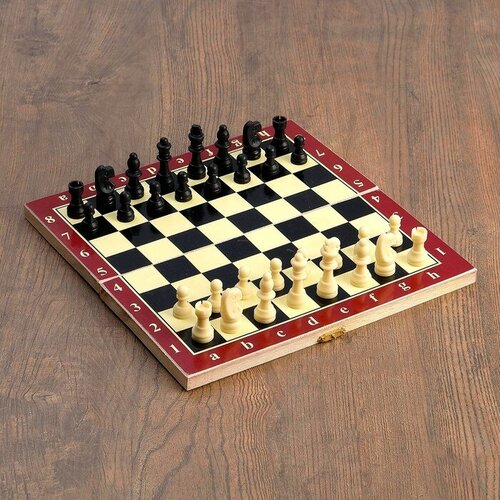Настольная игра 3 в 1 Карнал: нарды, шахматы, шашки, фишки дер, фигуры пластик, 29 х 29 см