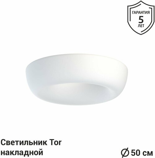 Светильник светодиодный тороидальной формы (кольцо) диаметром 50 см с креплением на стену и потолок TOR_S