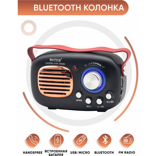 Портативная колонка с bluetooth WSTER WS-1839 черная 85500₽