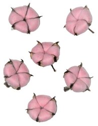 Набор цветов ХлопокЦветок Натуральные цветки хлопка, розовые