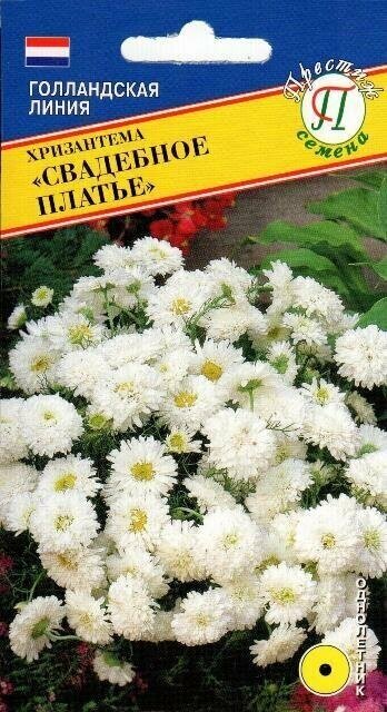 Хризантема Свадебное платье. Семена. Изящное растение высотой 50 см. Густомахровые белые цветки диаметром 5 см. Обильно цветет с июля до осени