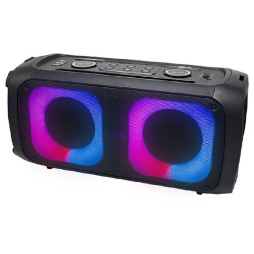 Акустическая система Ritmix SP-910B black 2 беспр микрофона в компл 1739000₽