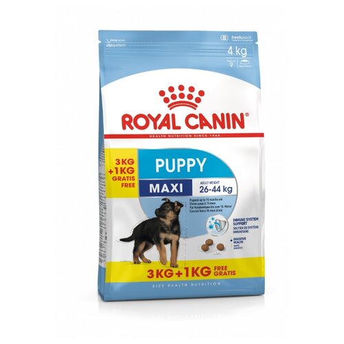 фото Сухой корм для собак Royal Canin для здоровья костей и суставов 4 кг (для крупных пород)