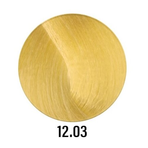 Купить PUNTI DI VISTA Nuance Краска для волос с церамидами 12.03 платиновый блонд натуральный интенсино- золотистый, 100 мл