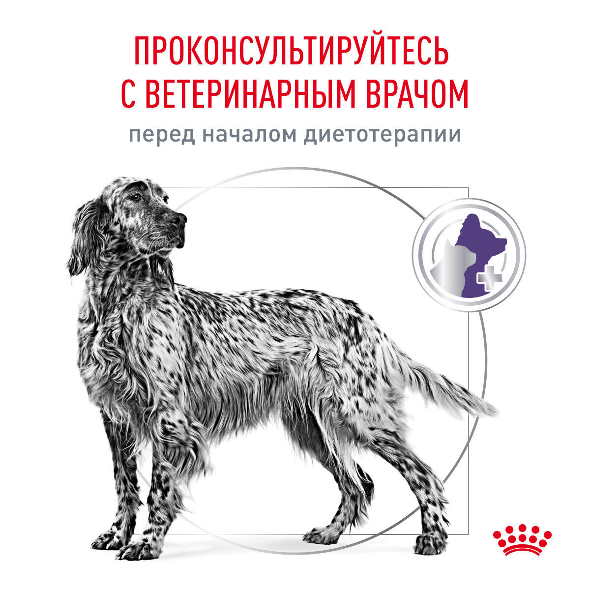 Vet Diet Neutered для средних пород, кастрированных и стерилизованных сух.9кг ROYAL CANIN - фото №5