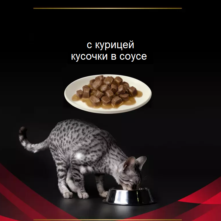 Влажный корм для кошек Purina Pro Plan Veterinary Diets DM St/Ox DIABETES MANAGEMENT, при сахарном диабете, с курицей, 24 шт. х 85 г - фотография № 9