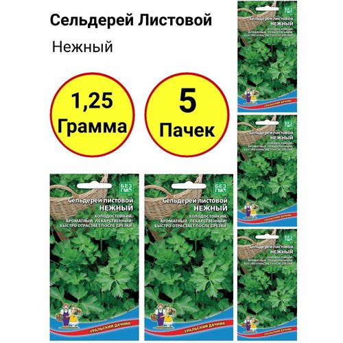 Сельдерей листовой Нежный 0,25г, Уральский дачник - комплект 5 пачек сельдерей нежный листовой 0 5г ср аэлита б п 20 пачек семян