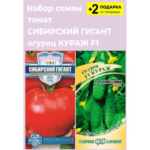 Набор семян: Томат "Сибирский гигант", 0,1 гр. + Огурец "Кураж F1", 10 сем. + 2 Подарка
