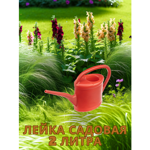 Лейка садовая, 2 л, разных цветов, пластмассовая Россия 67505
