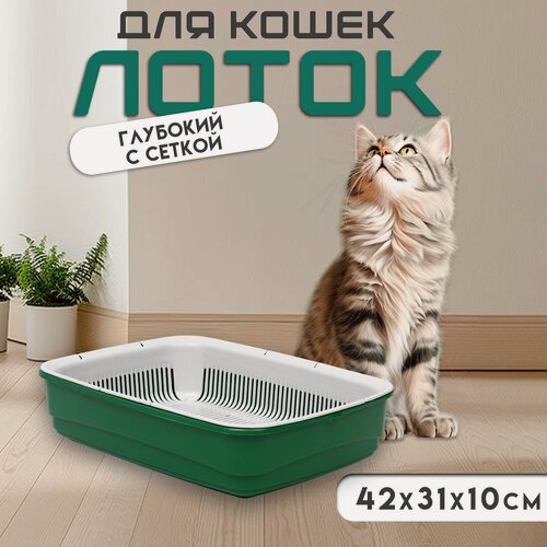 Изображение товара Лоток большой с сеткой Atlantis "Стандарт", 42 х 31 х 10 см, зеленый,